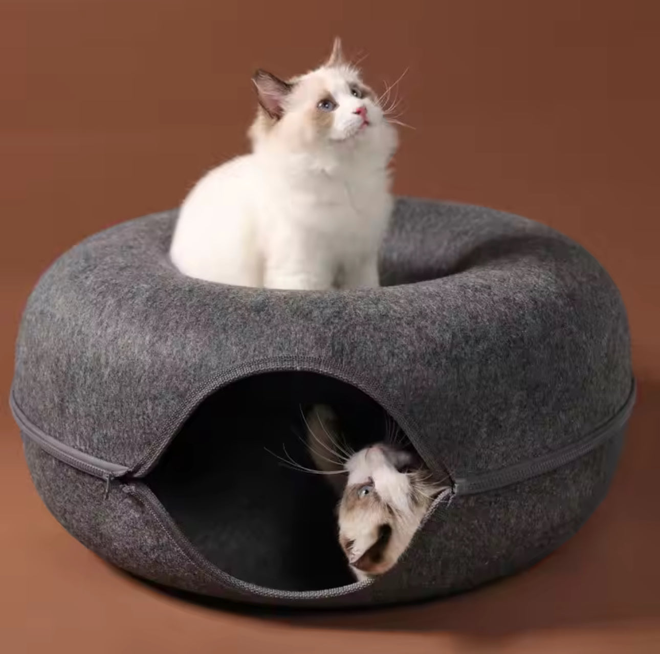 CozyDonut™ – Dual-Layer Cat Cave & Tunnel Bed