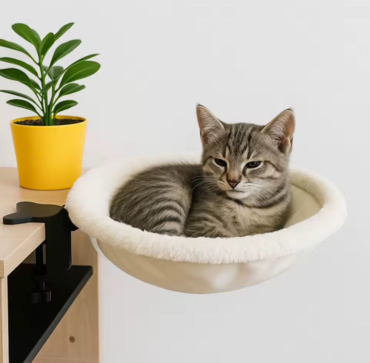 Desk Nest Cat Bed Pet Bed Plush Desktop Cat Perch for Office Working Home