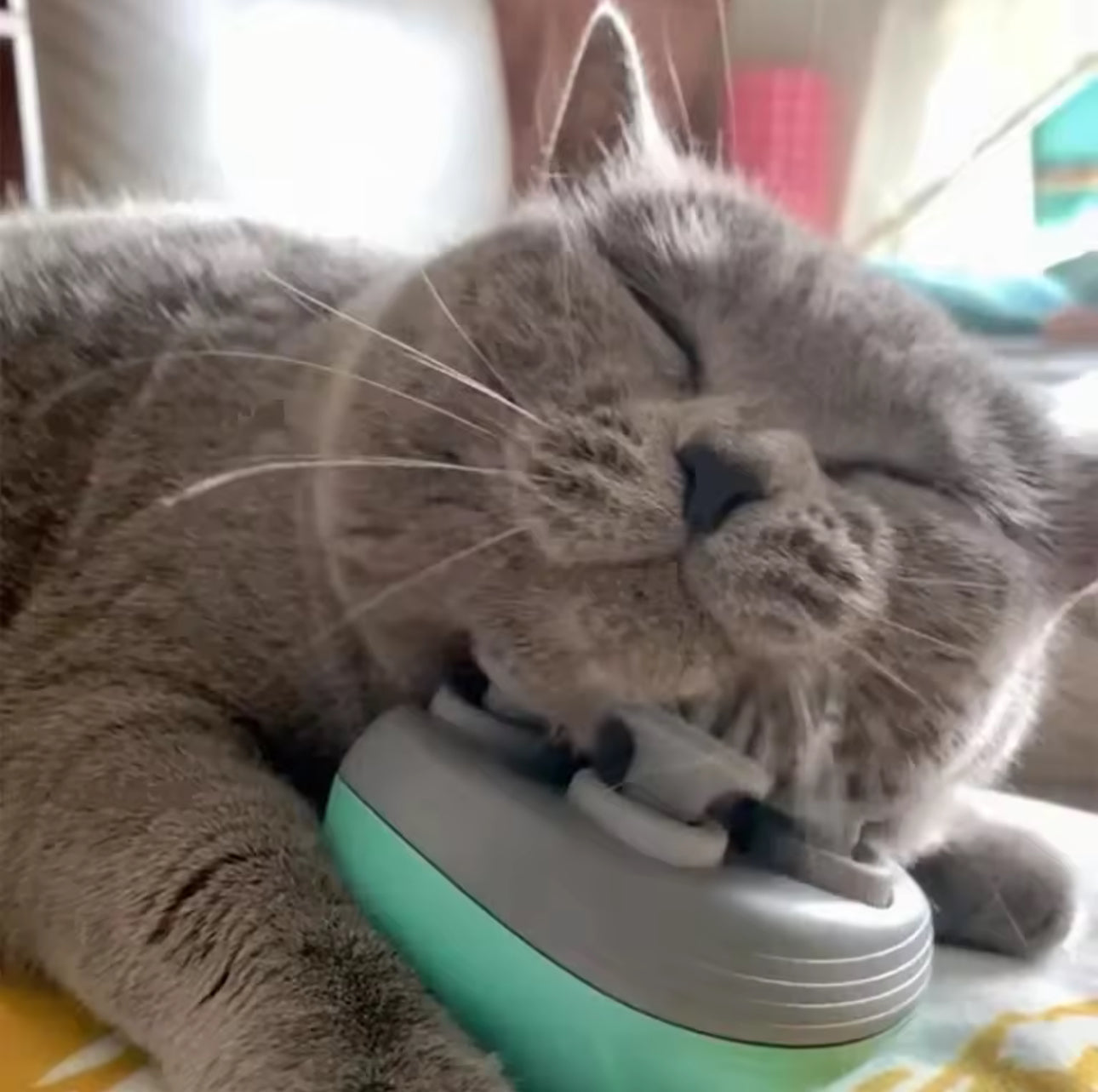 Rechargeable Electric Pet Massager – Deep Tissue Therapy for Cats & Dogs | Dual-Speed, Quiet & Water-Resistant